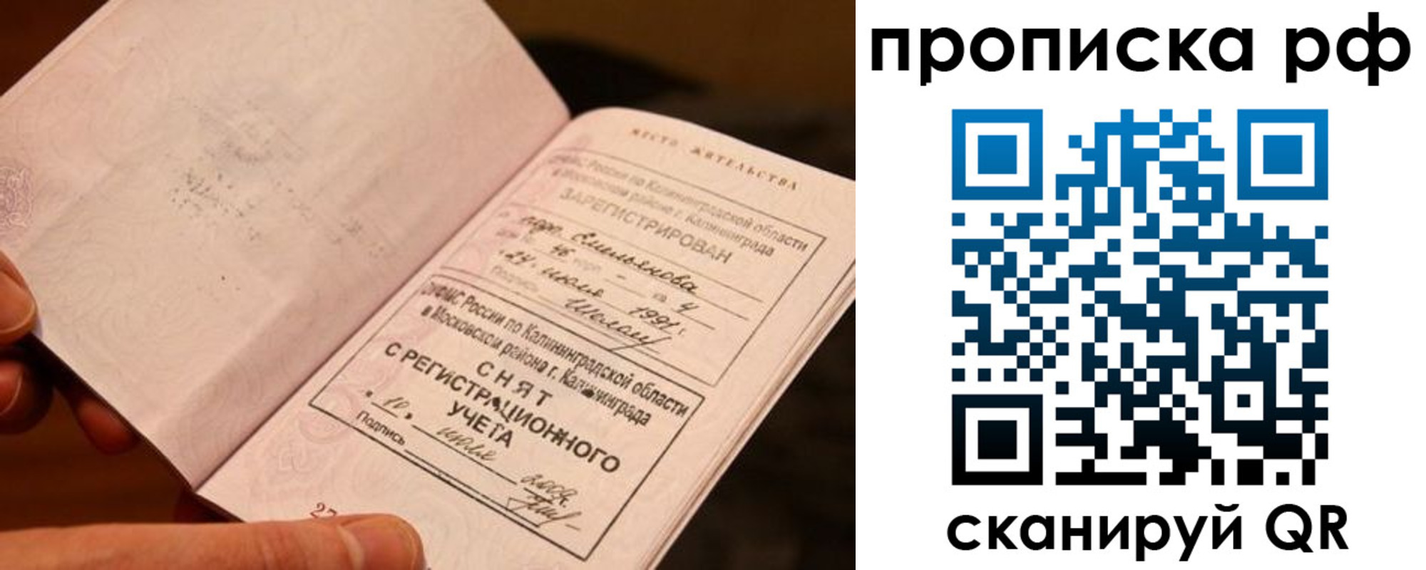 прописка гарантия в Озёрске